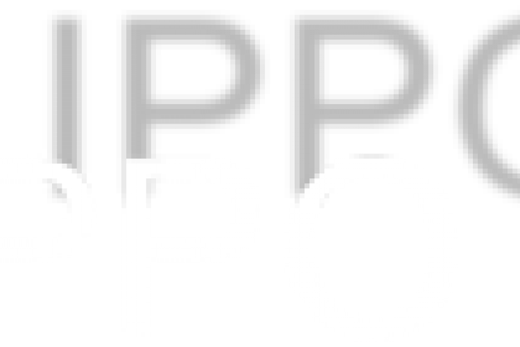 Logo der IPPO IPPO Unternehmensberatung GmbH