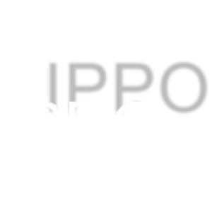 Logo der IPPO IPPO Unternehmensberatung GmbH